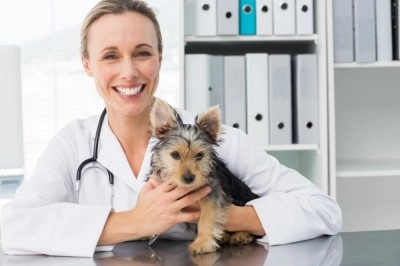 smiling veterinarian holding a puppy